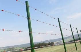 Barbed Wire Fence