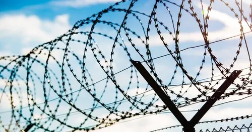 Galvanized Concertina Wire