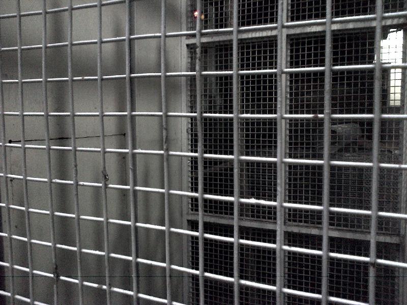 MS Welded Mesh